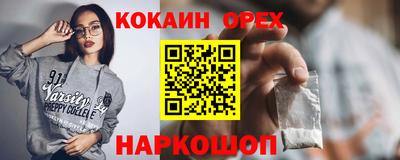 шишки Новодвинск