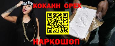 шишки Новодвинск