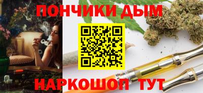 шишки Новодвинск