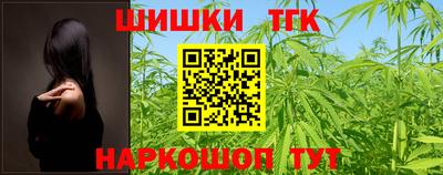 шишки Новодвинск