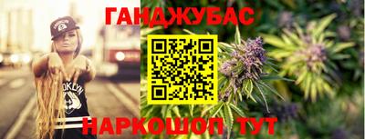 шишки Новодвинск