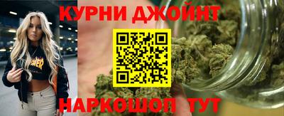 шишки Новодвинск