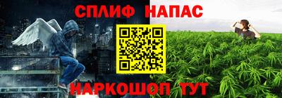 шишки Новодвинск