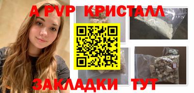 шишки Новодвинск