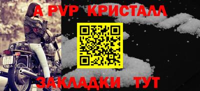 шишки Новодвинск