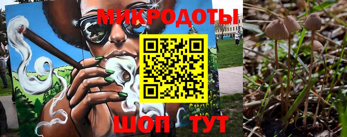 Псилоцибиновые грибы мицелий Ставрополь