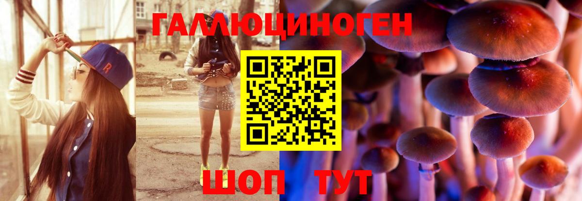 Галлюциногенные грибы Psilocybe  Вход с VPN  Ставрополь  Псилоцибиновые грибы Psilocybine cubensis 