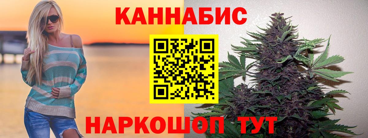 Бошки Шишки планчик Ставрополь
